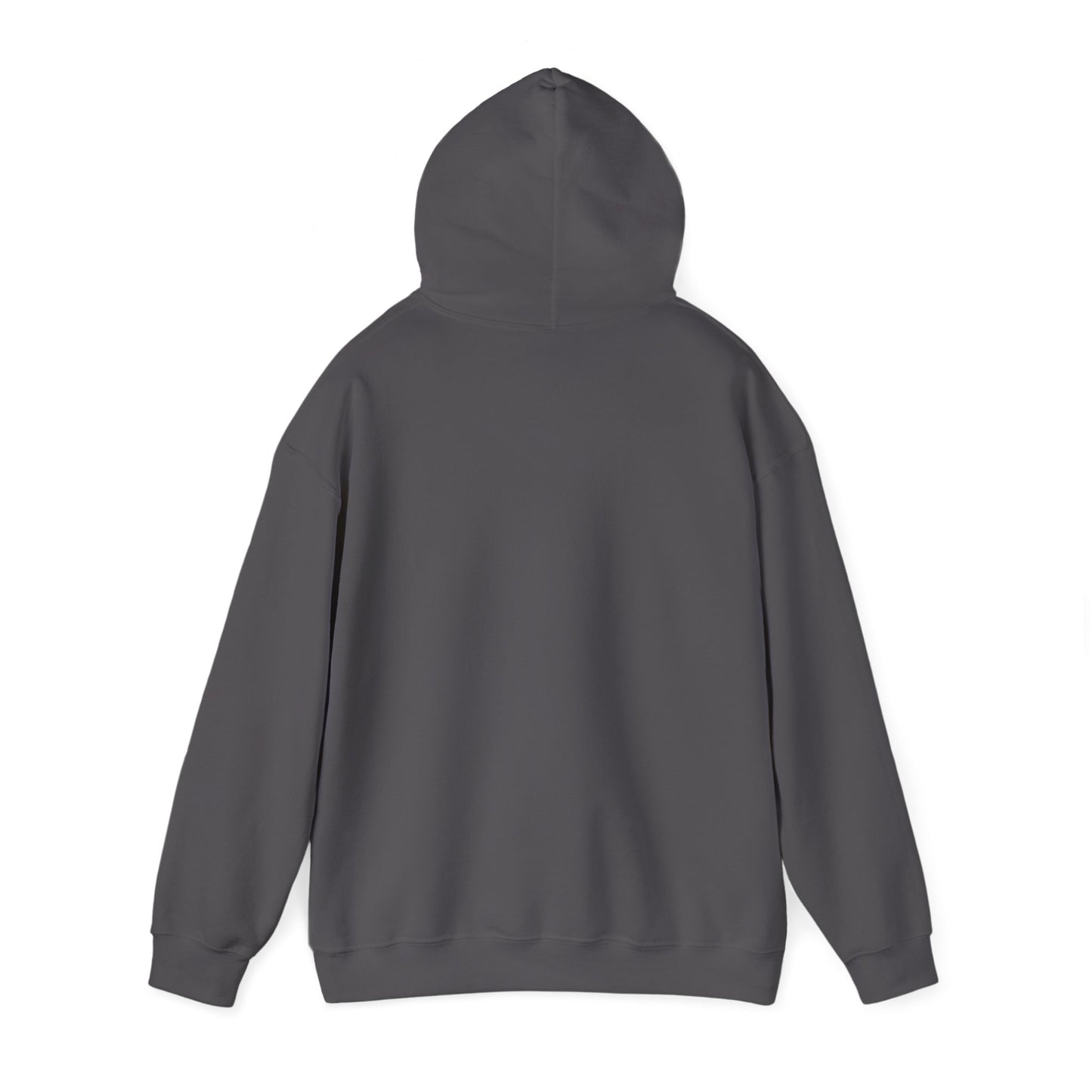 Unisex Hoodie with FNO branding.